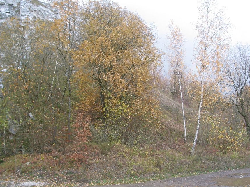 Diskussion...auf Augenh&ouml;he?