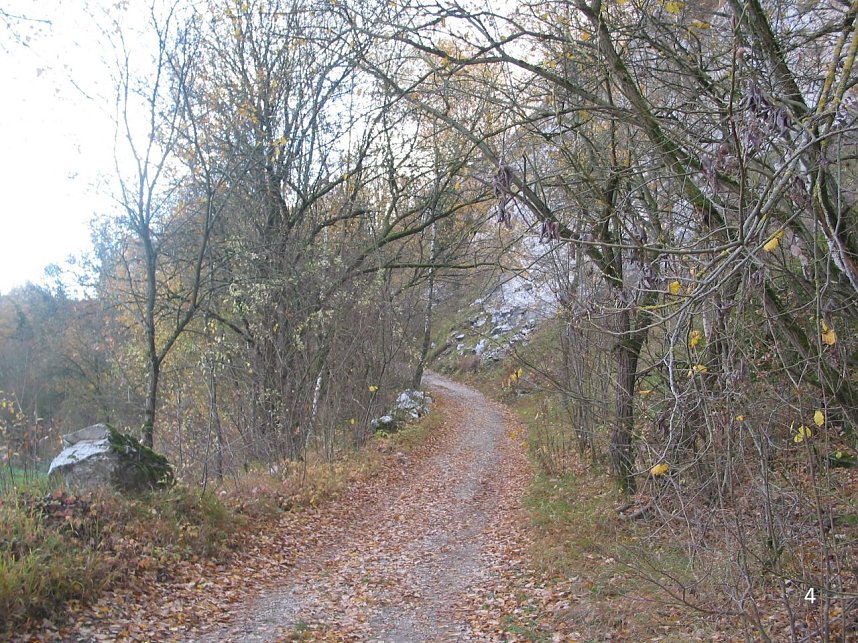 Diskussion...auf Augenh&ouml;he?