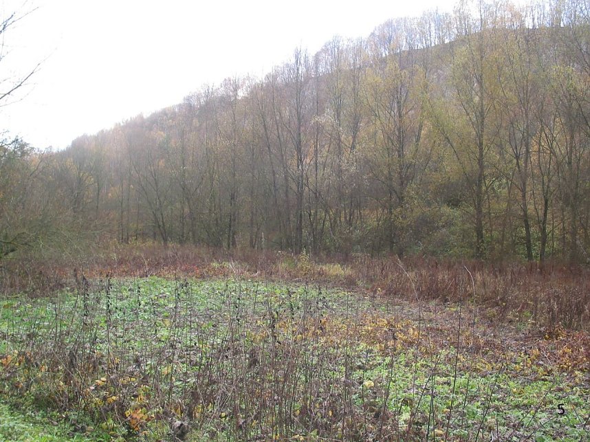 Diskussion...auf Augenh&ouml;he?