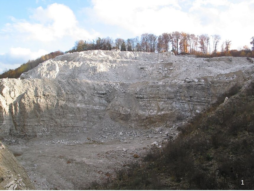 Diskussion...auf Augenh&ouml;he?