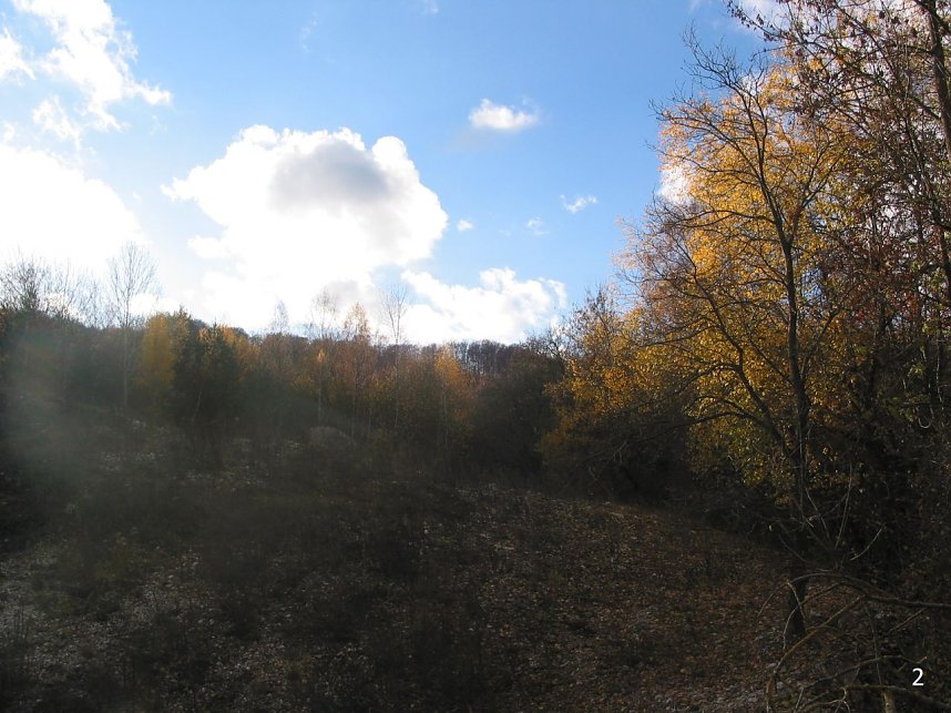 Diskussion...auf Augenh&ouml;he?