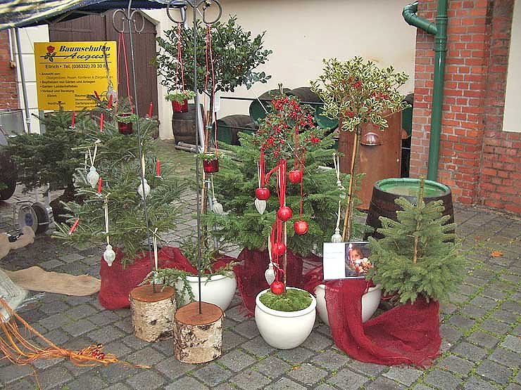 Das erwartet die Besucher morgen und &uuml;bermorgen