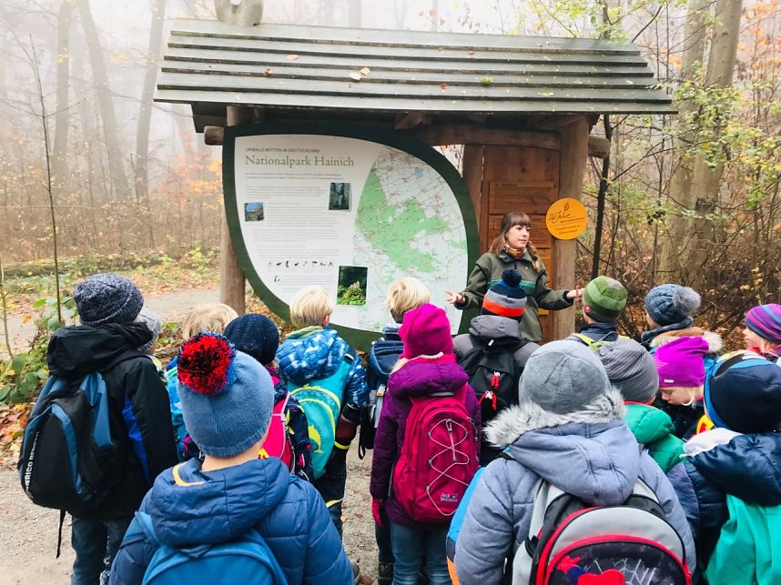 Ausflug zum Baumkronenpfad