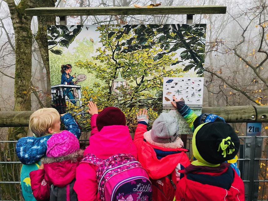 Ausflug zum Baumkronenpfad