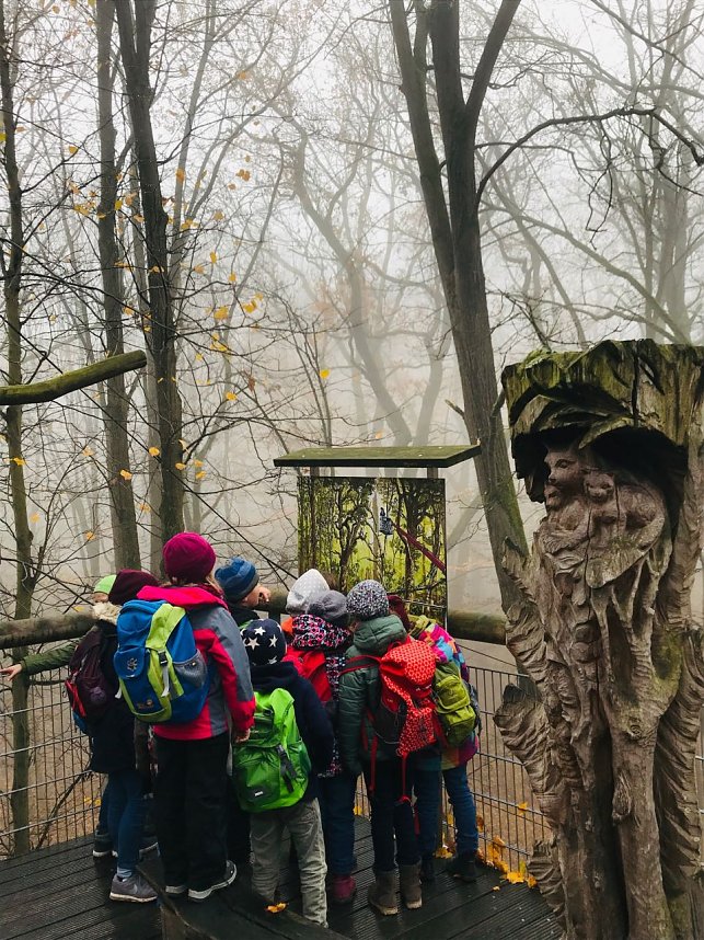 Ausflug zum Baumkronenpfad