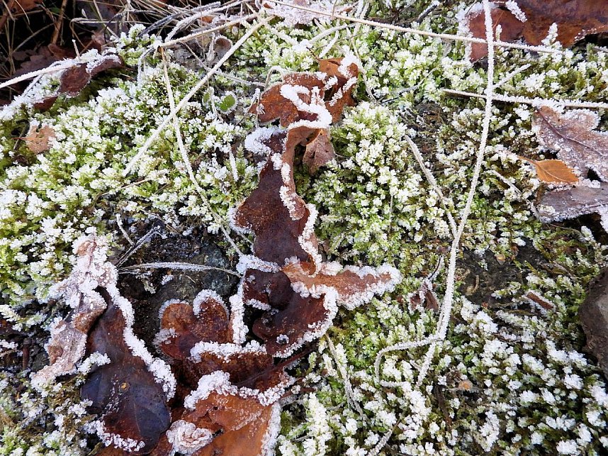 Wenig Wasser in der Talsperre