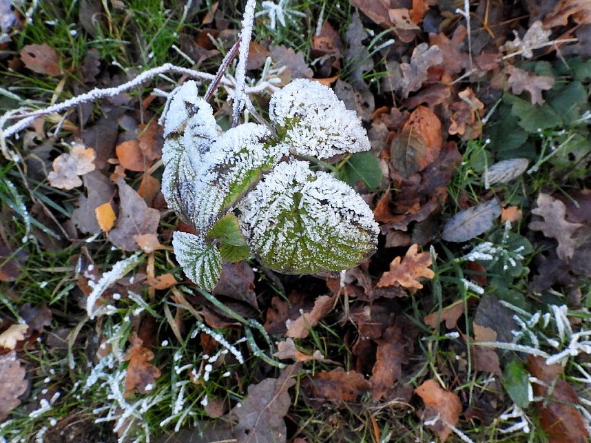 Wenig Wasser in der Talsperre