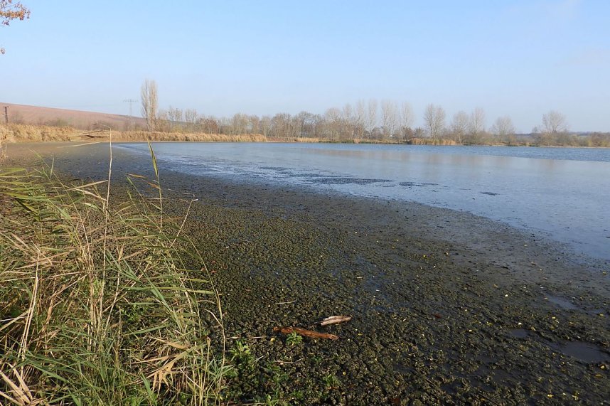 Arbeitseinsatz an den Steinbr&uuml;cker Teichen