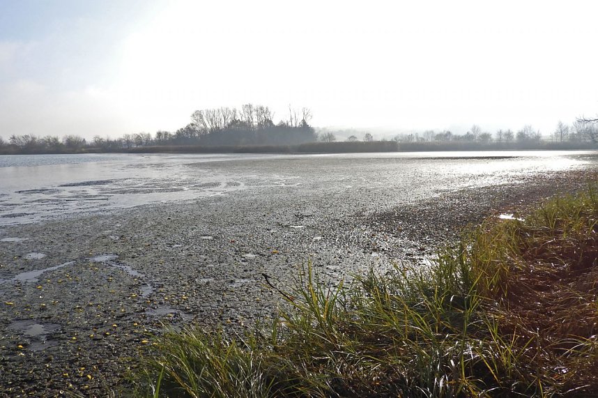 Arbeitseinsatz an den Steinbr&uuml;cker Teichen