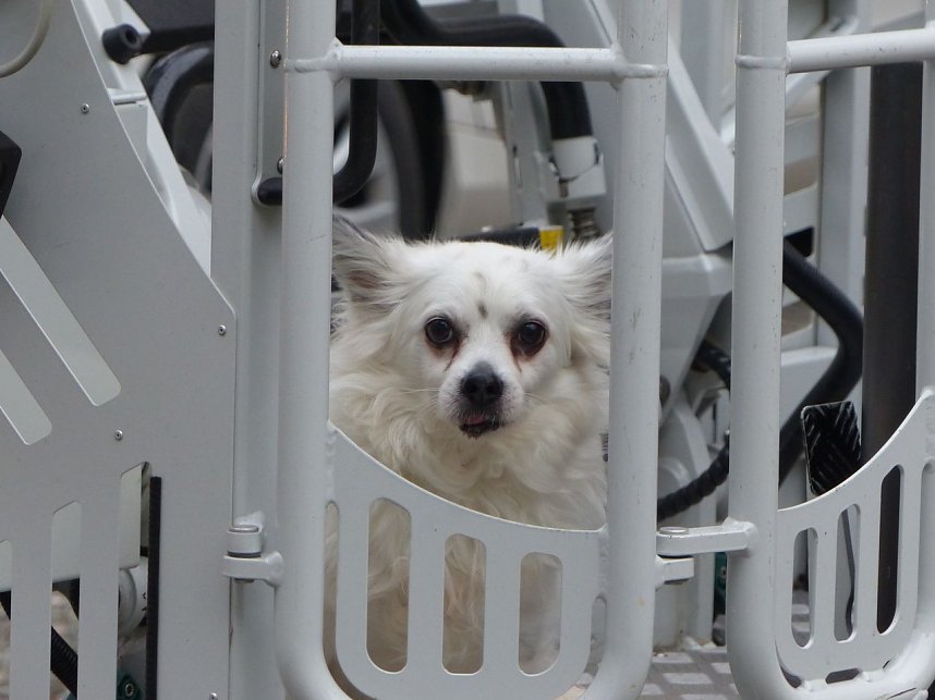 Einsatz in der Justus-Jonas-Stra&szlig;e