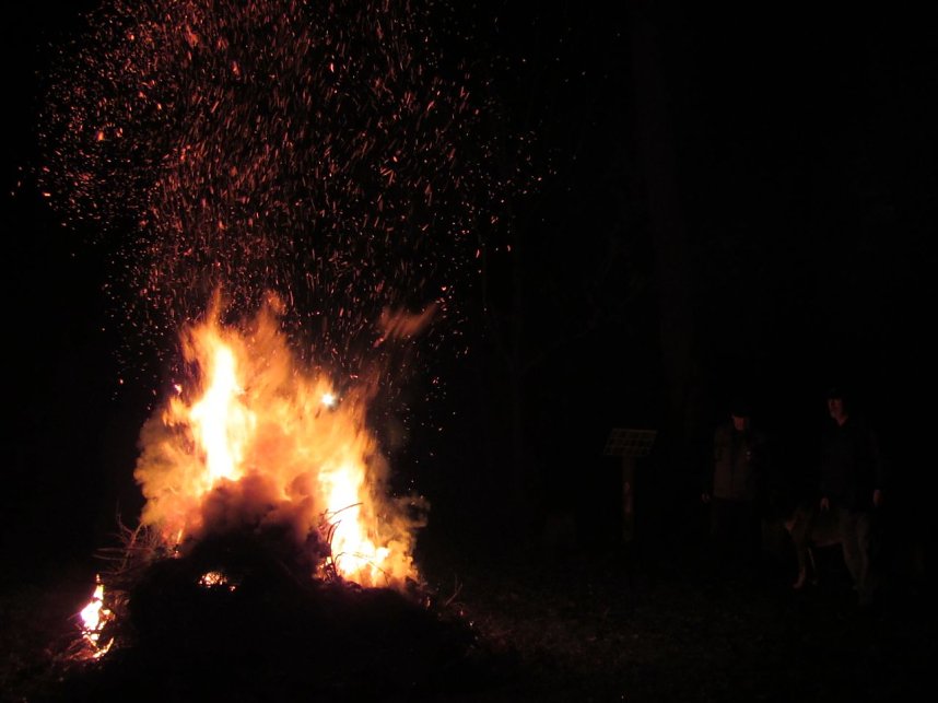 Lebendiger Adventskalender