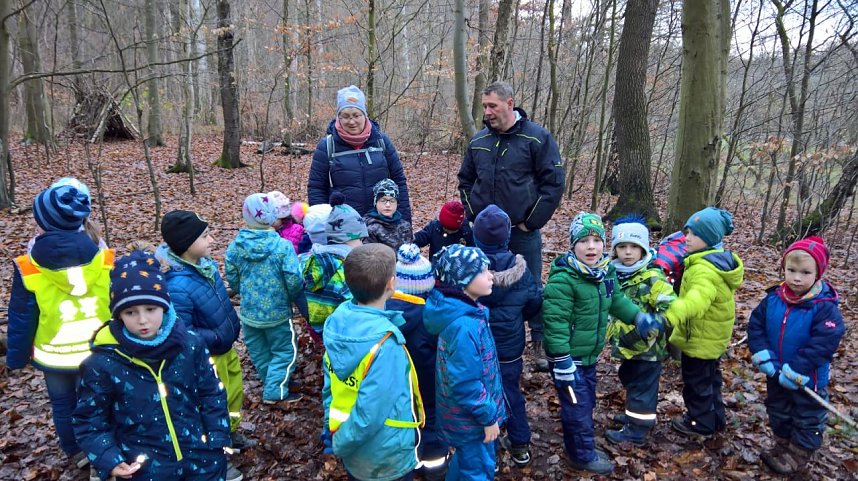 Spatzenkinder erkunden den Wald