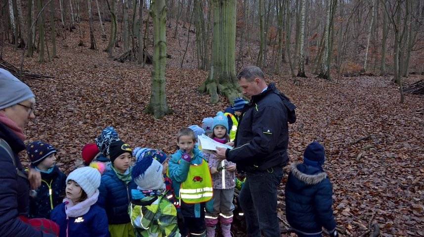 Spatzenkinder erkunden den Wald