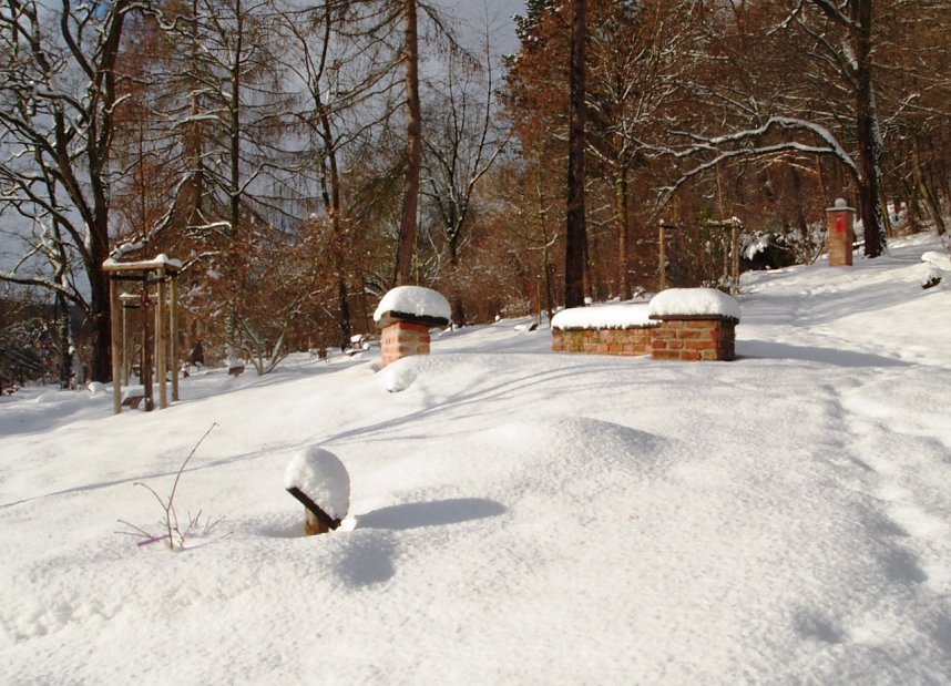 Gr&uuml;&szlig;e aus dem Ahornpark Ilfeld
