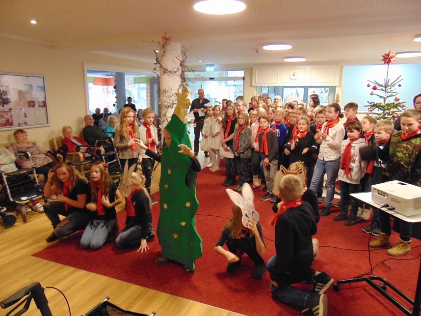 Der Dezember im Sonnenhof