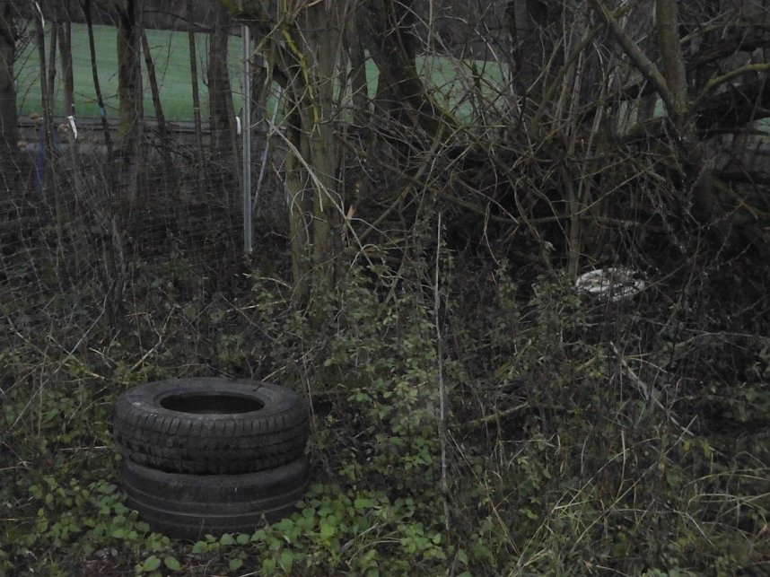 Natur pur, in jeder Hinsicht