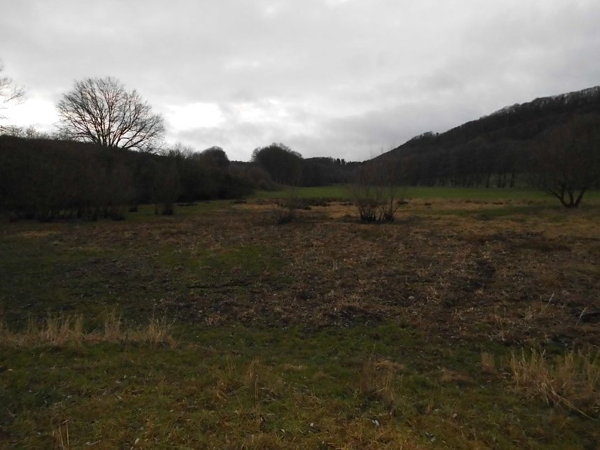 Natur pur, in jeder Hinsicht