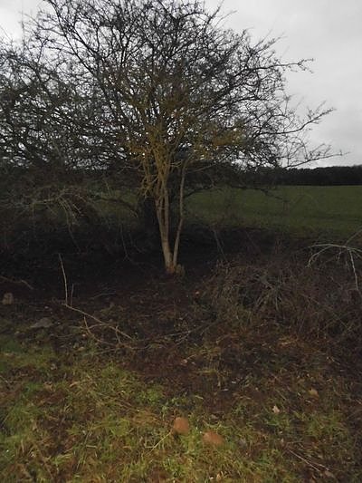 Natur pur, in jeder Hinsicht