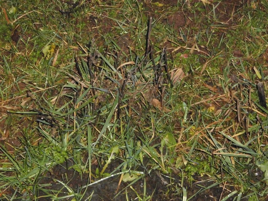 Natur pur, in jeder Hinsicht