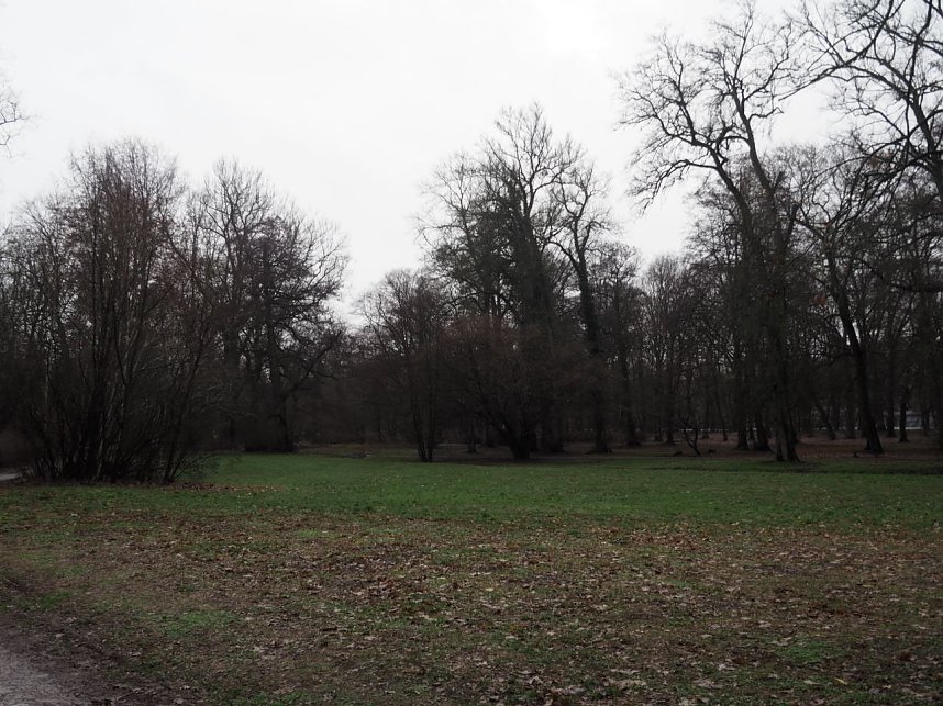 Die ersten Fr&uuml;hlingsboten?