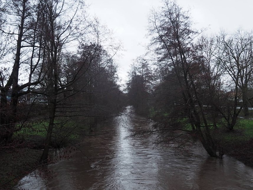 Die ersten Fr&uuml;hlingsboten?