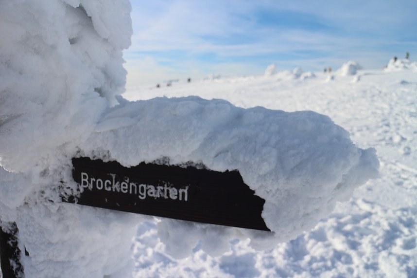 Mit der HSB auf den Brocken