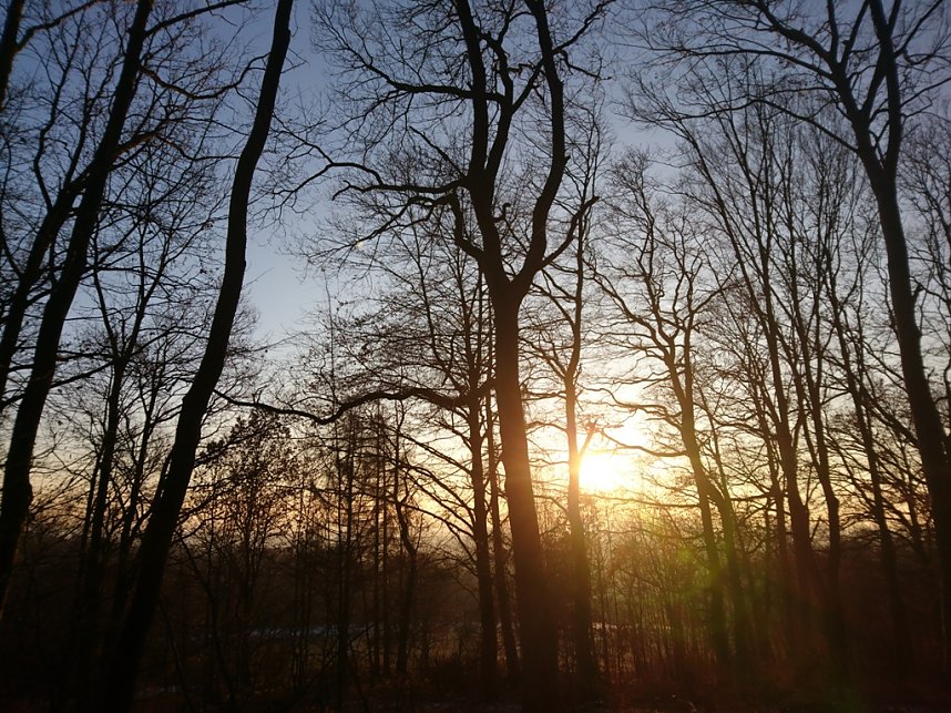 Sonne, Mond und Sterne