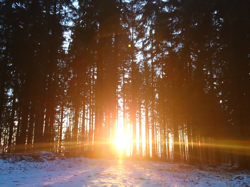 Sonne, Mond und Sterne