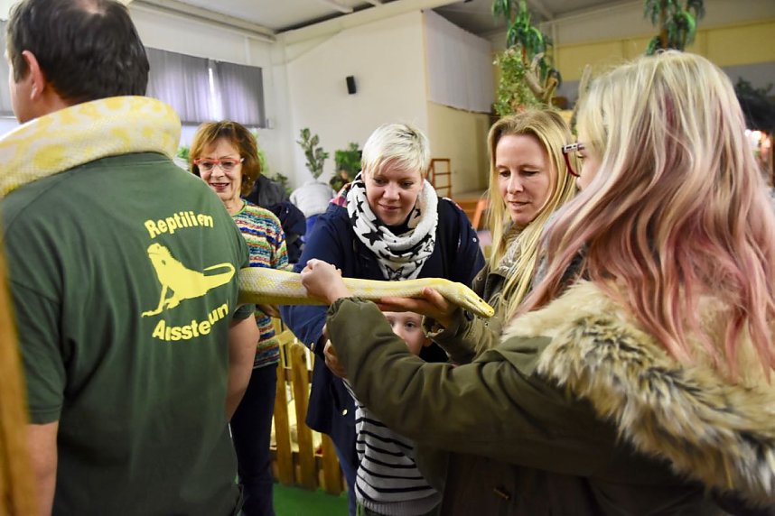 Reptilien Ausstellung