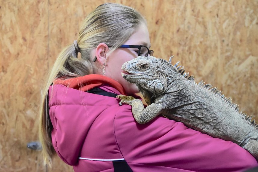 Reptilien Ausstellung