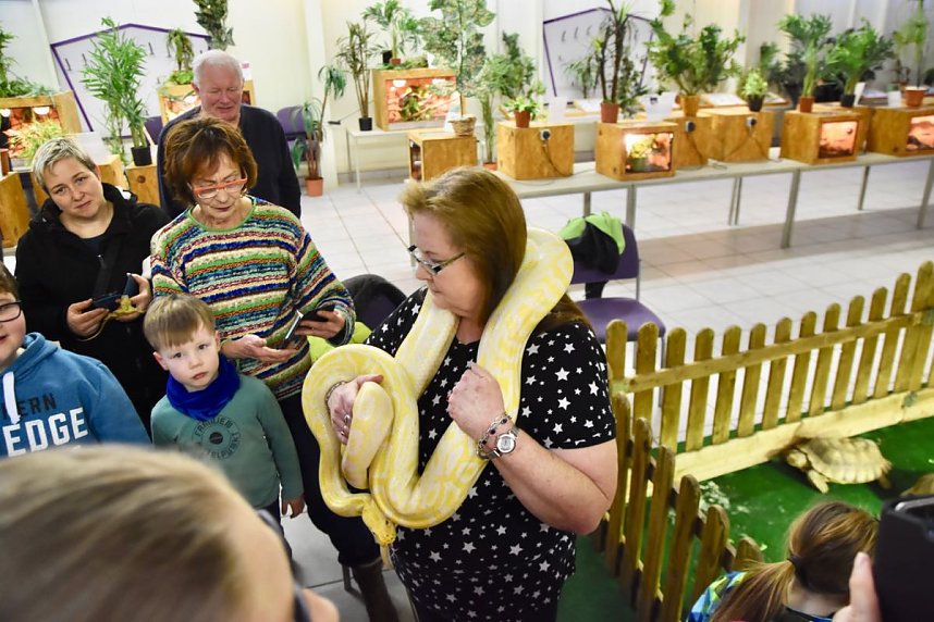 Reptilien Ausstellung
