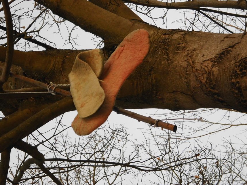 Die Natur vor unserer T&uuml;r