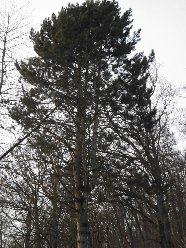 Die Natur vor unserer T&uuml;r