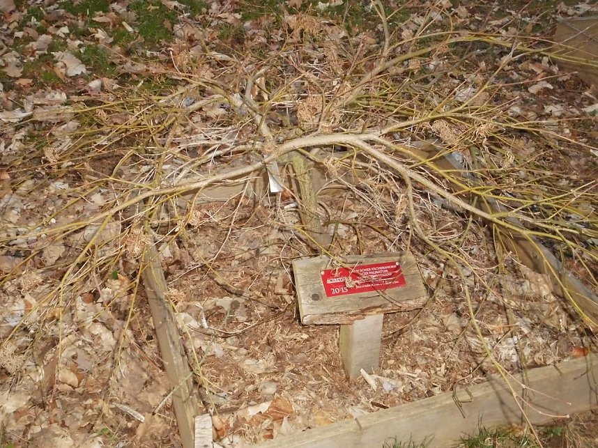 Die Natur vor unserer T&uuml;r