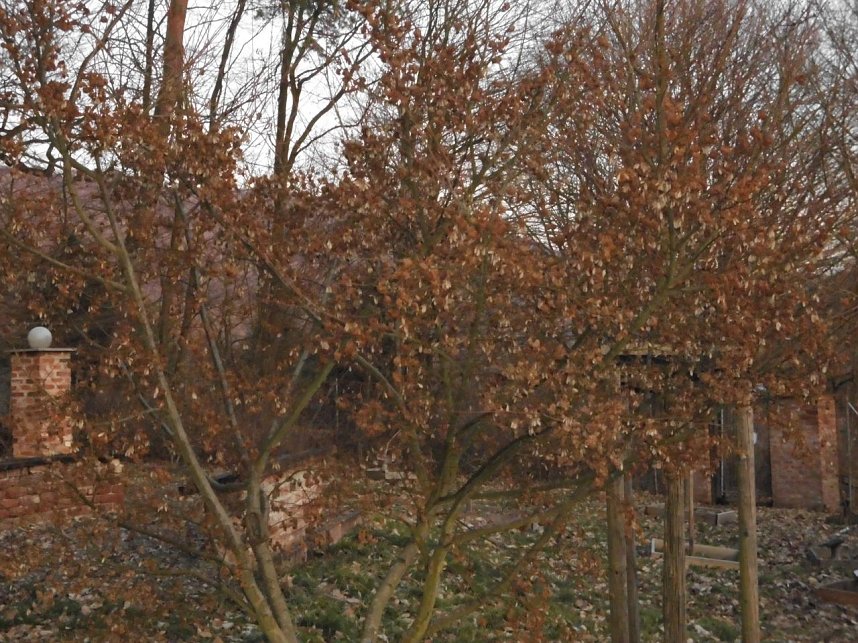 Die Natur vor unserer T&uuml;r