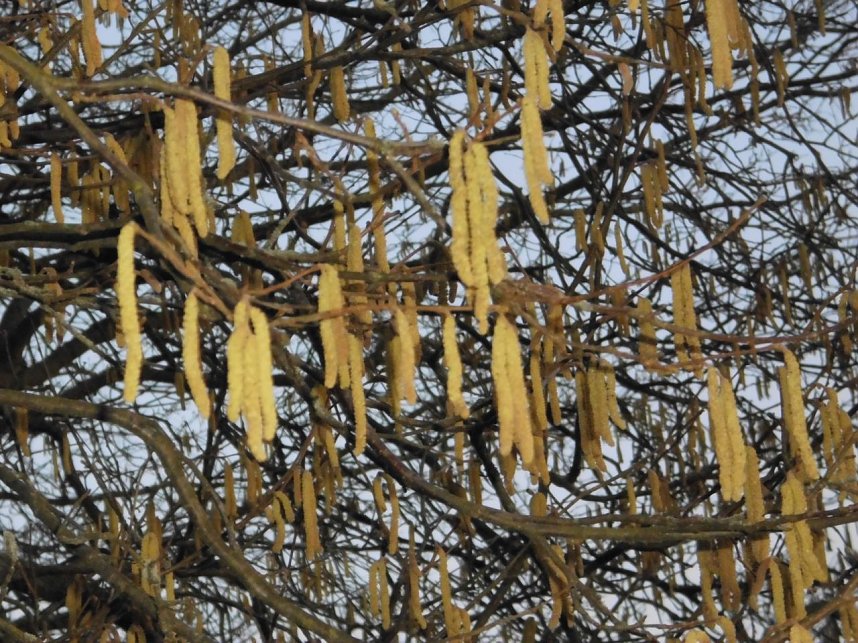 Die Natur vor unserer T&uuml;r