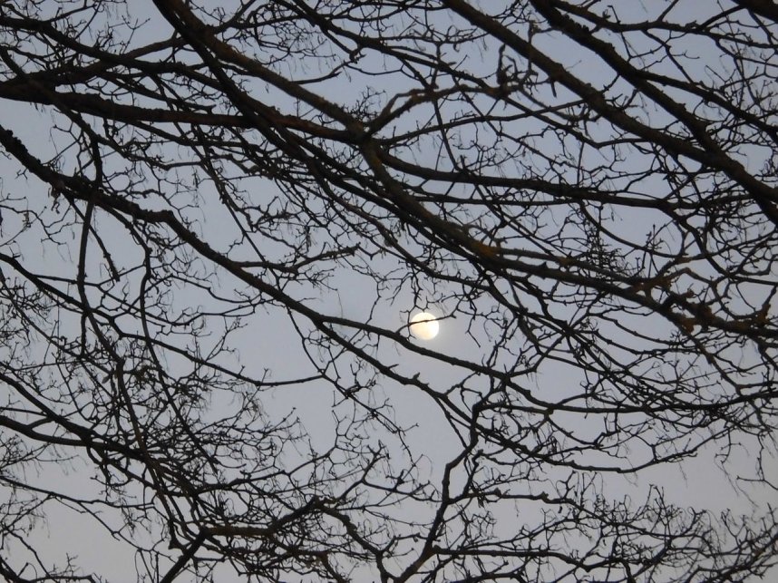 Die Natur vor unserer T&uuml;r