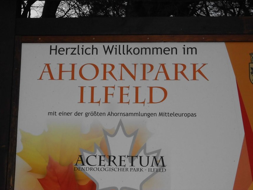 Die Natur vor unserer T&uuml;r