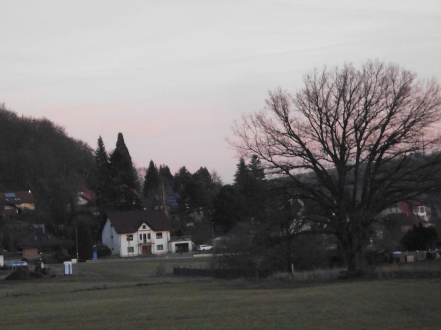 Die Natur vor unserer T&uuml;r