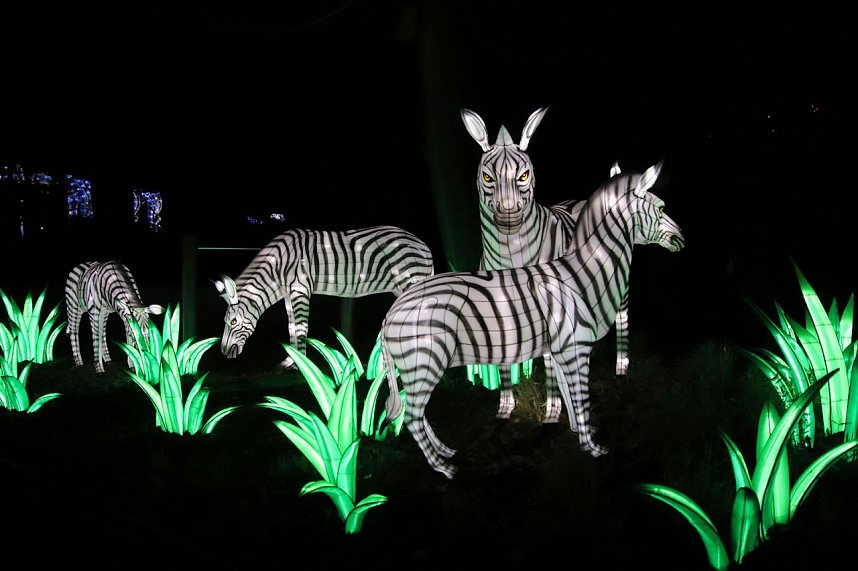Lichtershow im Bergzoo Halle