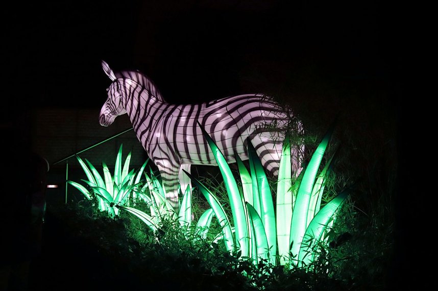 Lichtershow im Bergzoo Halle