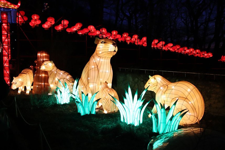 Lichtershow im Bergzoo Halle