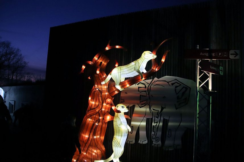Lichtershow im Bergzoo Halle