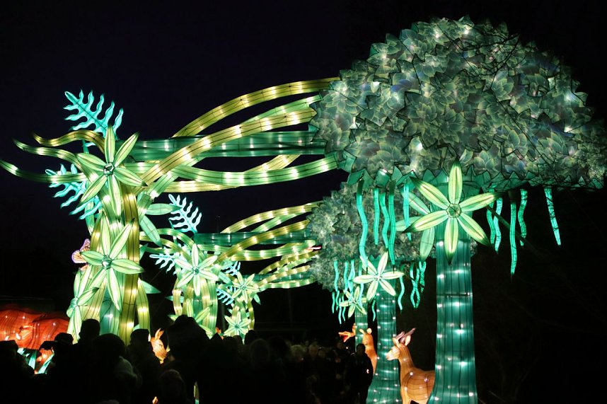 Lichtershow im Bergzoo Halle