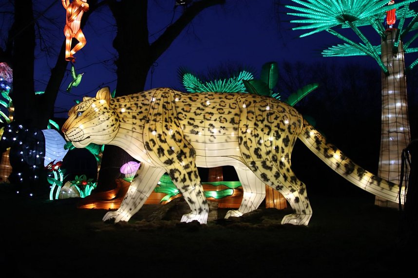 Lichtershow im Bergzoo Halle