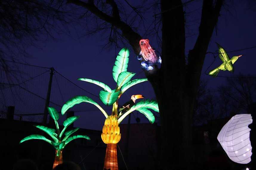 Lichtershow im Bergzoo Halle