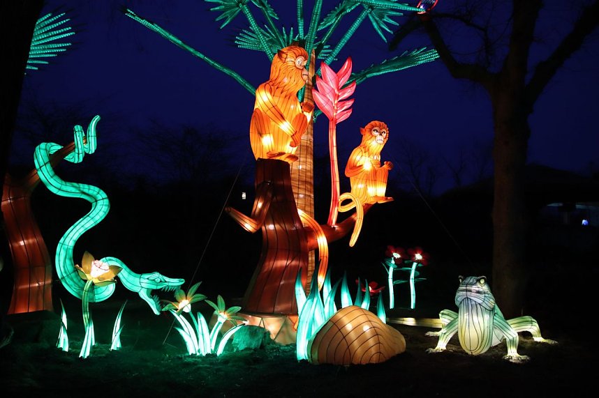 Lichtershow im Bergzoo Halle