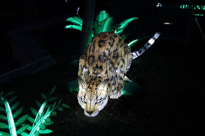 Lichtershow im Bergzoo Halle