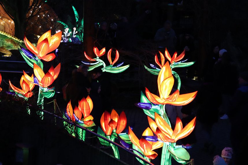 Lichtershow im Bergzoo Halle