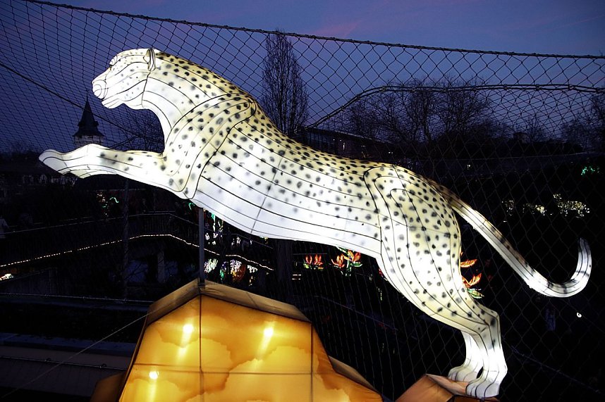 Lichtershow im Bergzoo Halle